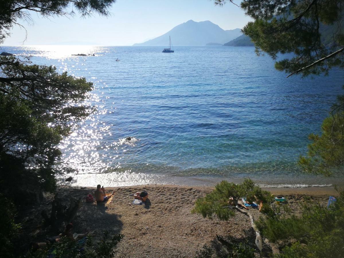 Vukotić Beach house Žuljana Zewnętrze zdjęcie