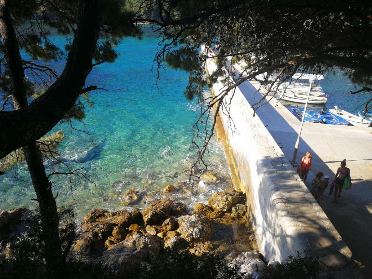 Vukotić Beach house Žuljana Zewnętrze zdjęcie