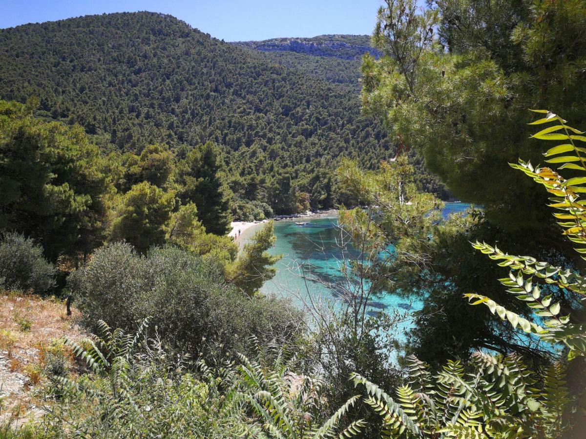 Vukotić Beach house Žuljana Zewnętrze zdjęcie