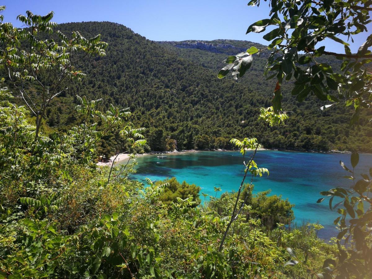 Vukotić Beach house Žuljana Zewnętrze zdjęcie